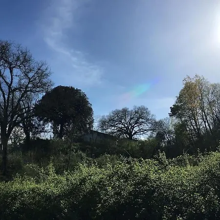 Rustico Toscano Nel Cuore Del Bosco
