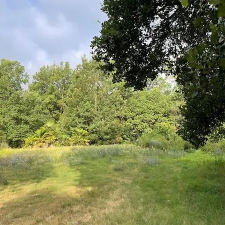 Appartement Rustico Toscano Nel Cuore Del Bosco